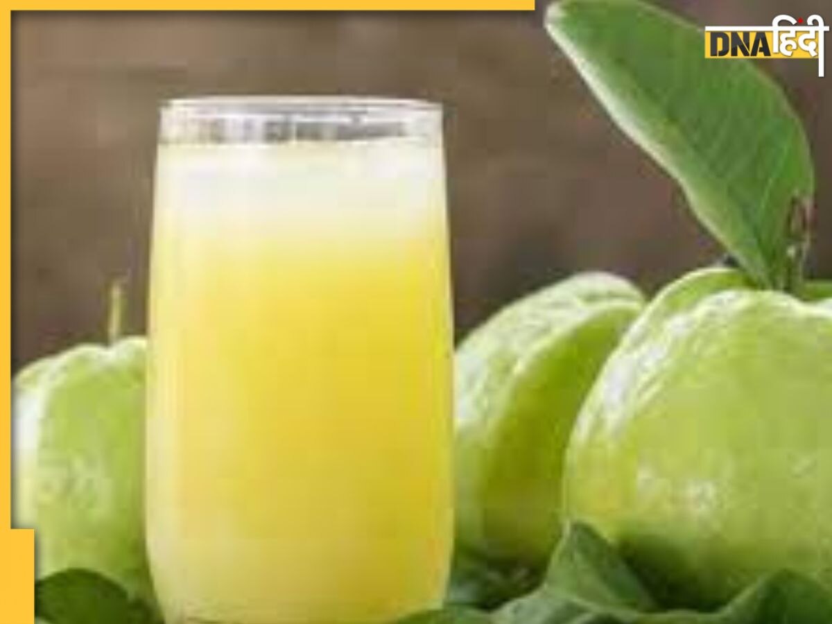 Guava leaves Juice: इस जूस को पीते ही गिरने लगेगा ब्लड शुगर और वेट, इम्युनिटी भी होगी तगड़ी