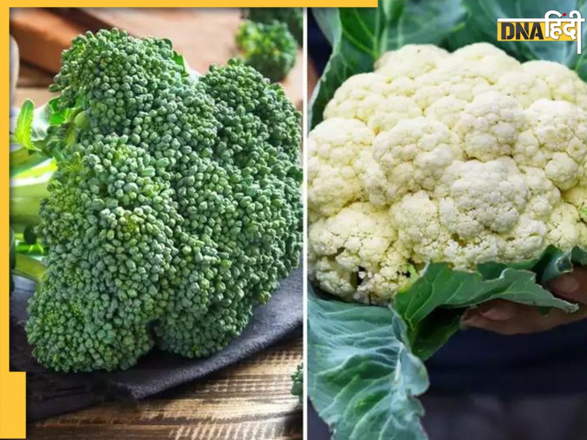 Cauliflower VS Broccoli फूलगोभी या ब्रोकली, सेहत के लिए कौन है बेस्ट