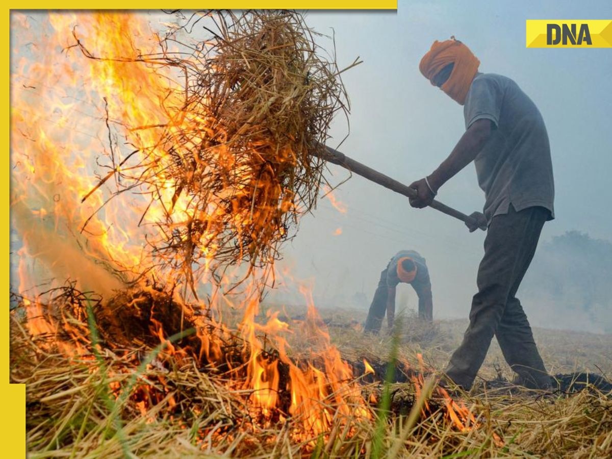 Stubble burning incidents drop by 56% in Punjab, 40% in Haryana this year: Centre