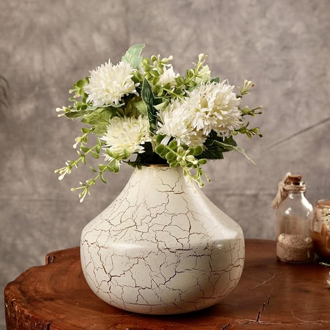 https://cdn.dnaindia.com/sites/default/files/2023/10/31/2613636-behoma-metal-flower-vase-for-home-decor.jpg