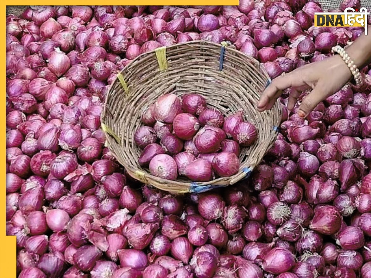 Onion Price: महंगाई के दौर में 25 रुपये किलो मिल रहा प्याज, जानिए कहां और कैसे