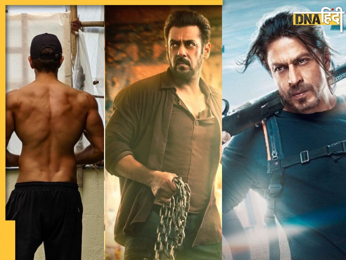 Shah Rukh Khan के अलावा इस सुपरस्टार एक्टर की होगी Tiger 3 में एंट्री, Salman Khan-Katrina संग दिवाली पर मचाएंगे धमाल