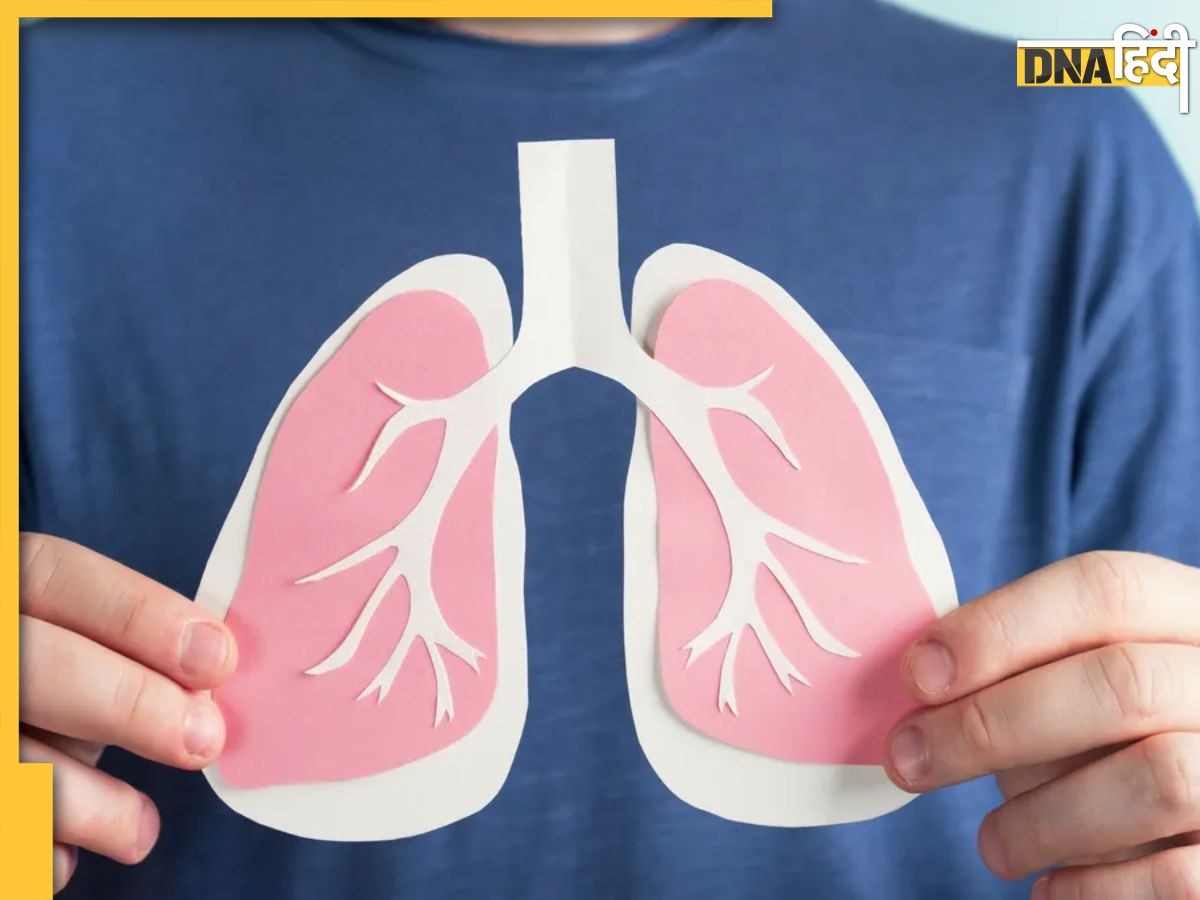 Foods For Lungs: इस मौसम में डाइट में शामिल कर लें ये 5 फूड्स, हेल्दी रहेंगे फेफड़ें और बीमारियां भी रहेंगी दूर