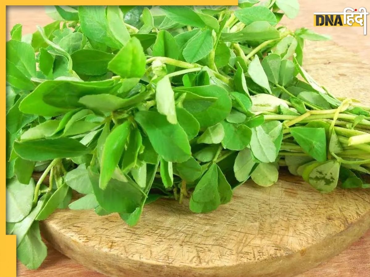 Methi Saag Benefits: ठंड में शरीर को अंदर से गर्म रखेगा ये साग, डायबिटीज समेत ये 5 बीमारियां रहेंगी दूर