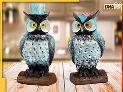 Owl idol Vastu: घर में उल्लू की मूर्ति रखना है बेहद शुभ, मां लक्ष्मी का वाहन बदल सकता है आपकी जिंदगी