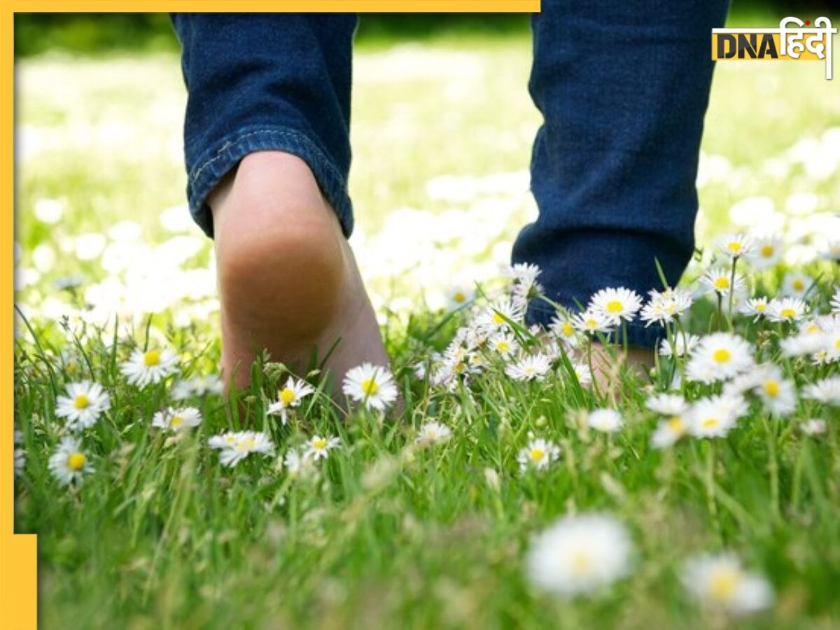 Walking On Grass Benefits: बीपी समेत इन 7 बीमारियों को रखना है दूर? सुबह नंगे पांव घास पर चलने की डाल लें आदत