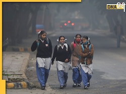 Delhi School Holidays: दिल्ली में सोमवार से खुलेंगे स्कूल, सांसों पर लगा 'पहरा' हटते ही आया आदेश