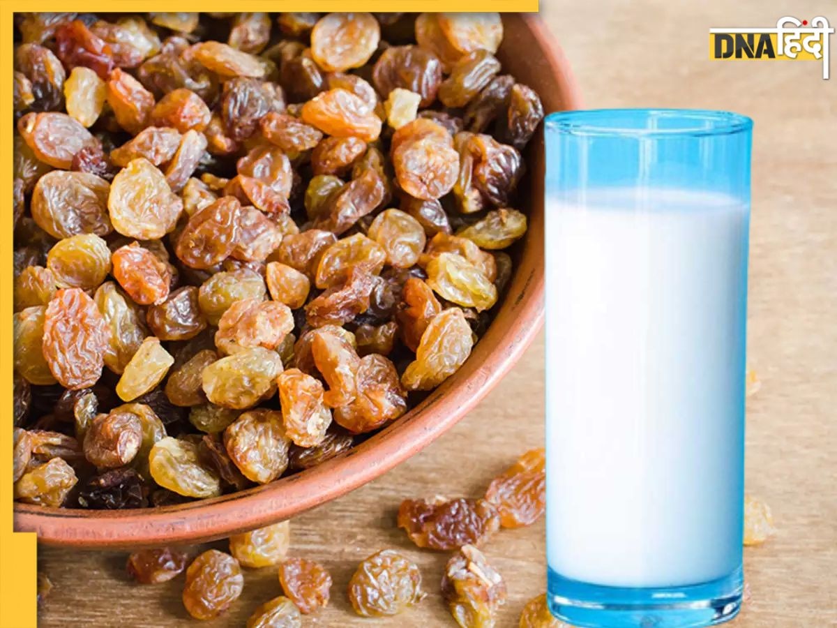 Munakka Milk Benefits: रोज सुबह दूध में मुनक्का डालकर पिएं, सेहत को मिलेंगे कई सारे फायदे