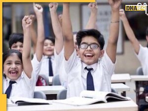 बच्चों को बनाना चाहते हैं शार्प तो 3 साल की उम्र से ही खिलाना शुरू कर दें ये 5 फूड्स, बुढ़ापे तक तेज रहेगी मेमोरी