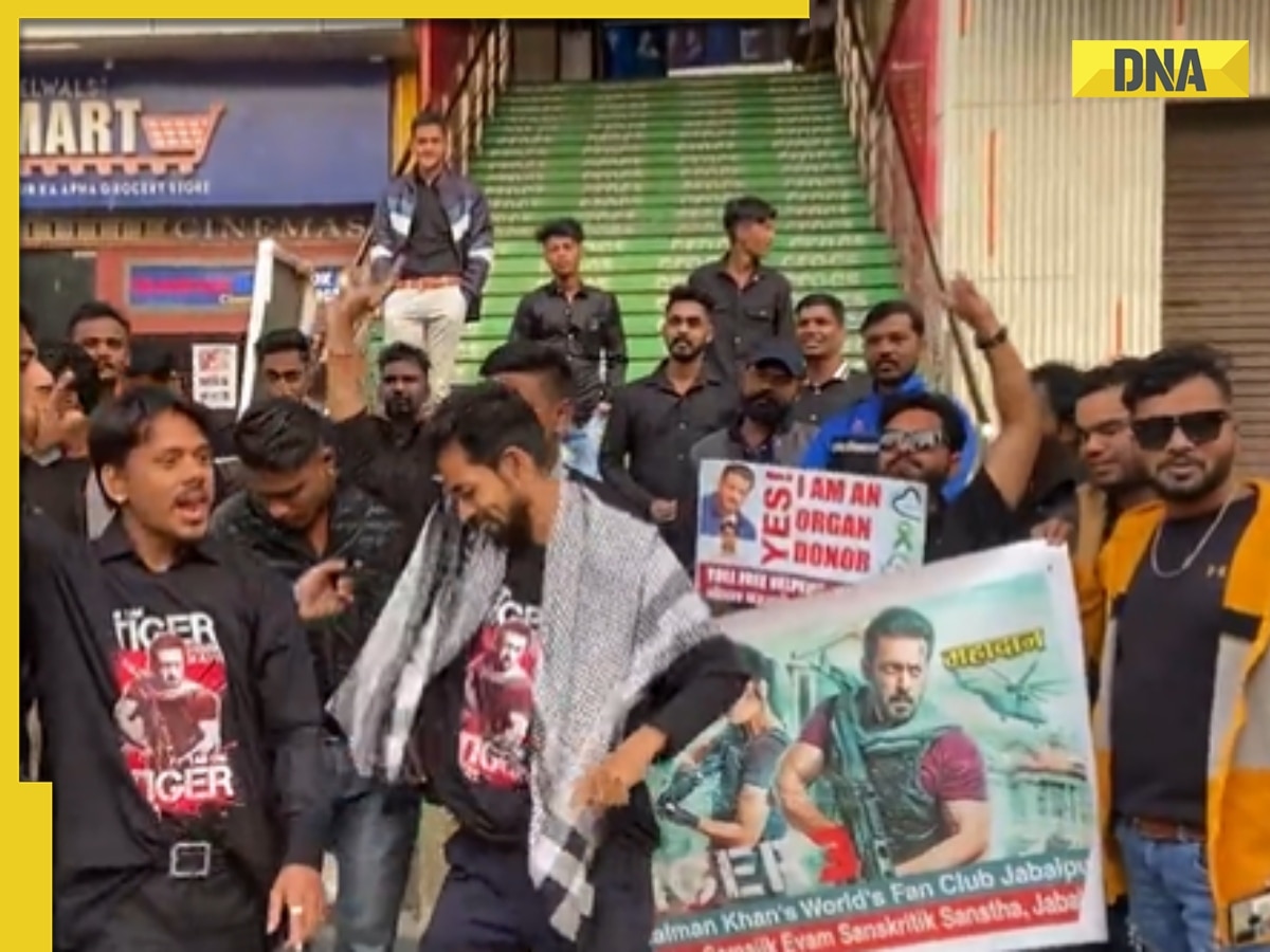 Salman Khan fans celebrate Diwali outside cinema halls screening Tiger 3, theatres erupt at those starry cameos