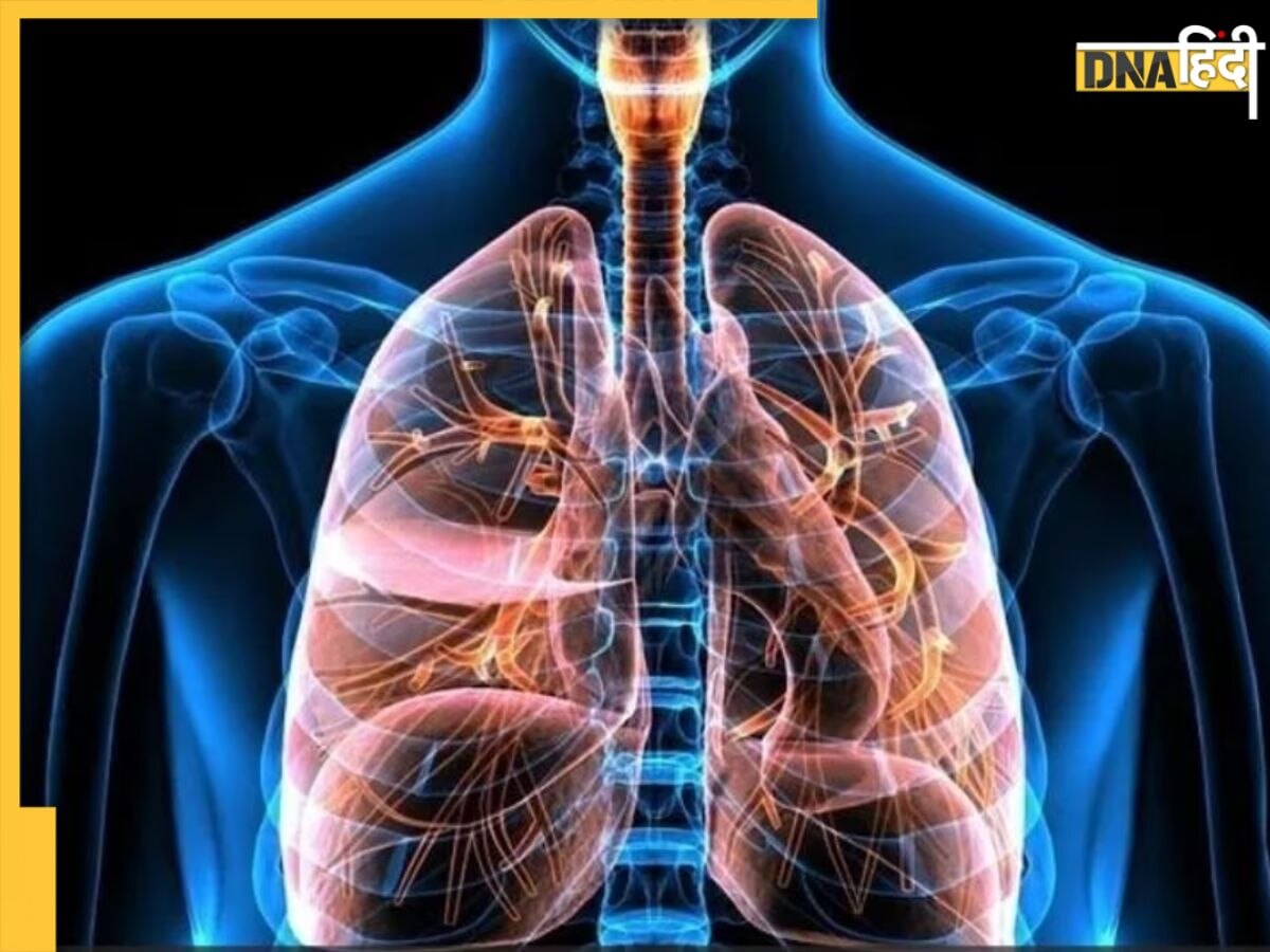 World COPD Day: बढ़ते प्रदूषण से बढ़ रहा इस घातक बीमारी का खतरा, जानें बचाव का क्या है सही तरीका