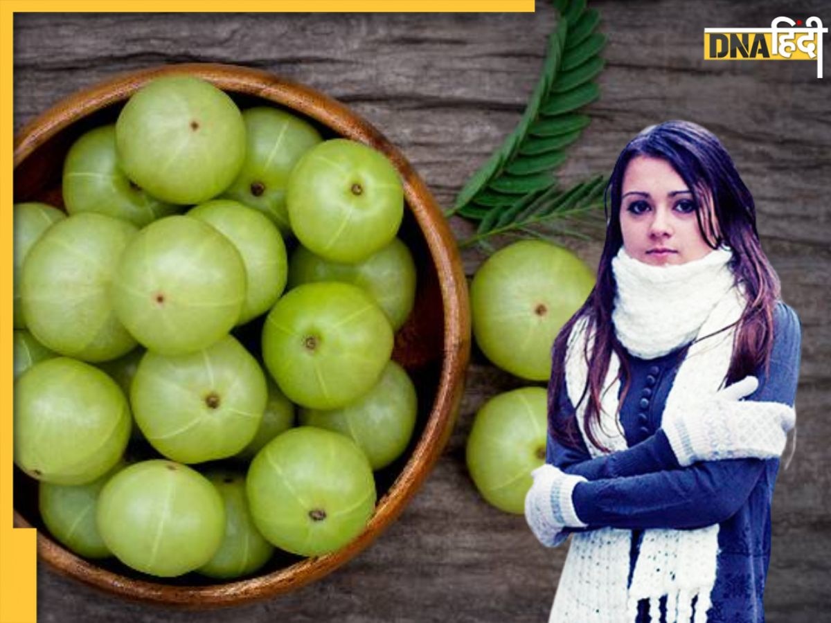 Amla Benefits In Winter: सर्दियों में आंवला को बनाएं डाइट का हिस्सा, रोज एक आंवला खाने से मिलेंगे कई फायदे