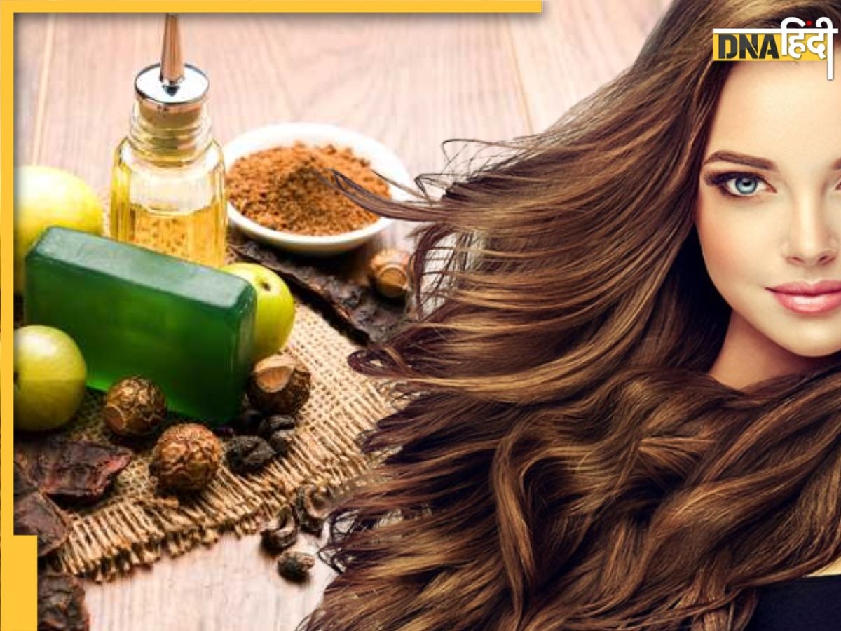 Hair Care Tips: सर्दियों में रूखे और बेजान बालों से हैं परेशान तो कारगर है आंवला, रीठा और शिकाकाई, ऐसे करें इस्तेमाल