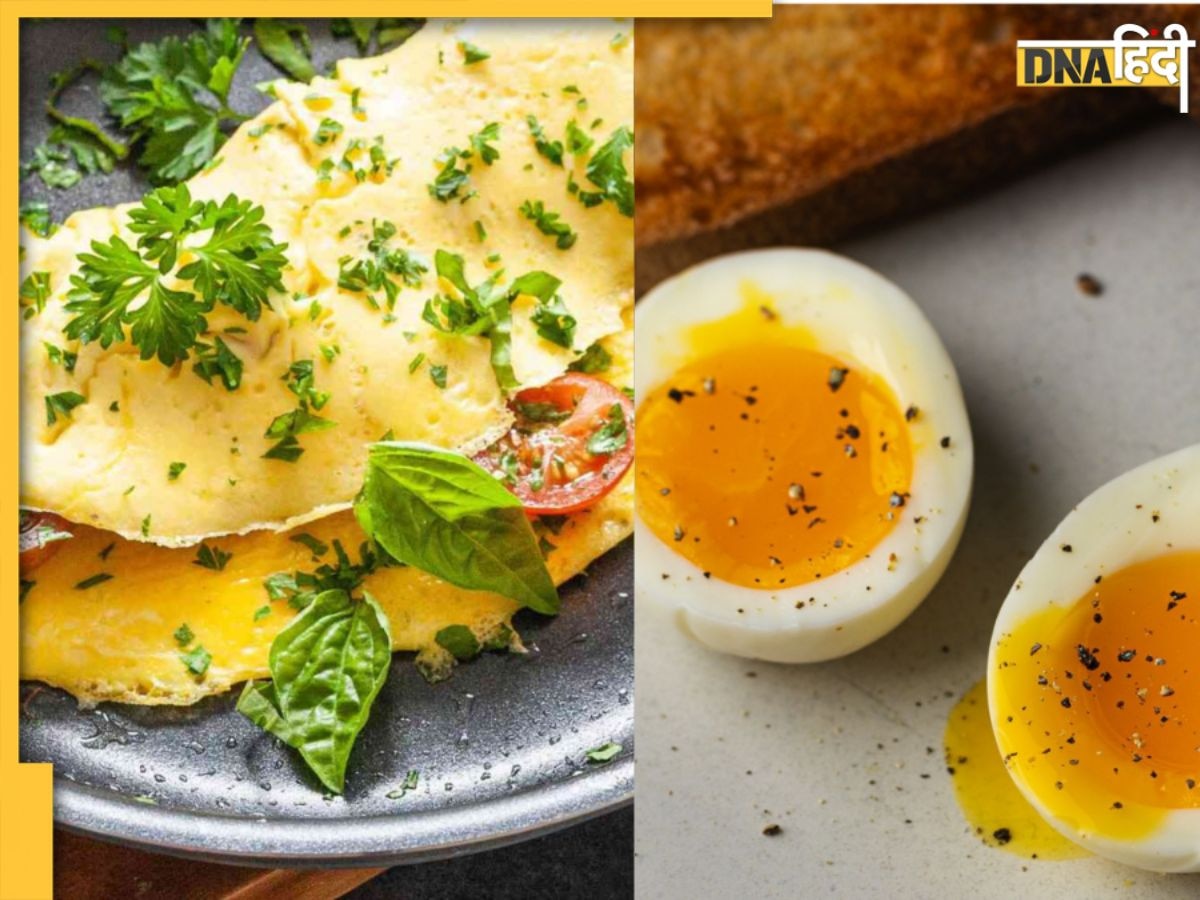 Boiled Egg vs Omelette: उबला अंडा या आमलेट क्या है ज्यादा फायदेमंद? यहां जाने अंडे का फंडा तभी मिलेगा पूरा फायदा