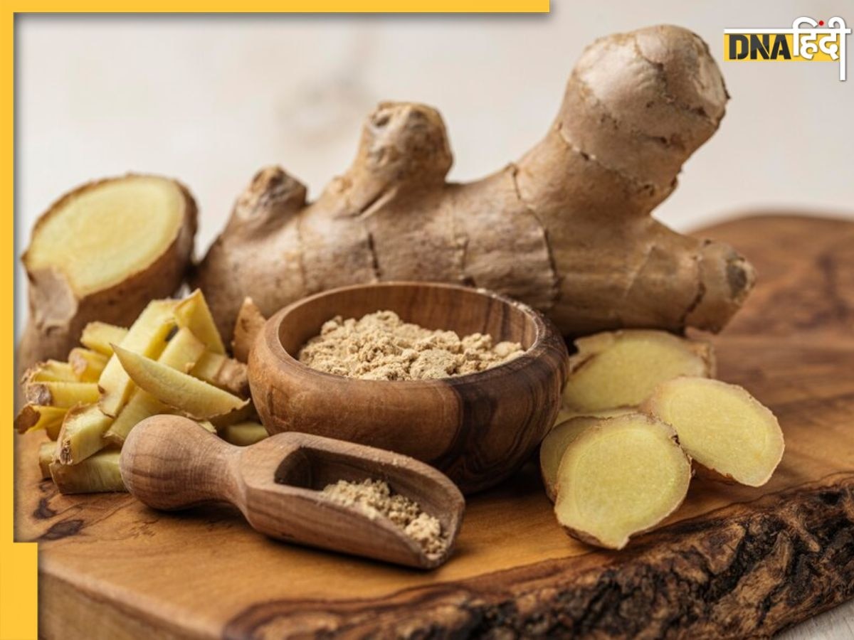 Ginger Health Risk: सर्दी में कहीं आप भी तो नहीं कर रहे अदरक का ज्यादा इस्तेमाल? हो सकती हैं ये बीमारियां