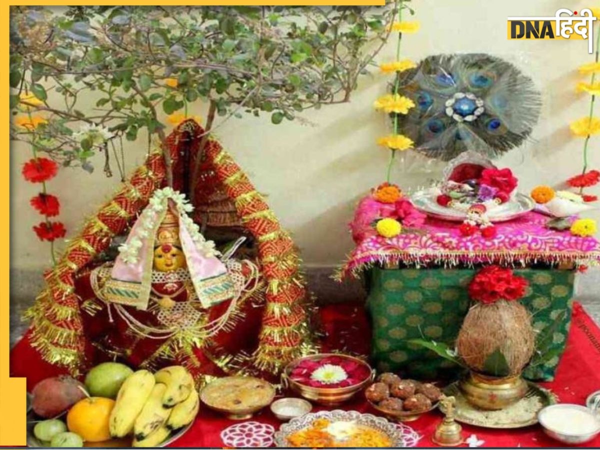 Tulsi Vivah: 24 नवंबर को है तुलसी-शालिग्राम का विवाह, जानिए वैवाहिक रस्म की पूरी विधि और शुभ मुहूर्त