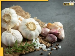 Garlic Benefits In Winter: इम्यूनिटी को बूस्ट कर मौसमी बीमारियों से बचाएगा लहसुन, जानें खाने का सही तरीका