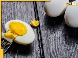 Egg For Heart Patients: हार्ट मरीजों के लिए कितना फायदेमंद है अंडा, इसमें मौजूद कोलेस्ट्रॉल कितना नुकसानदेह? 