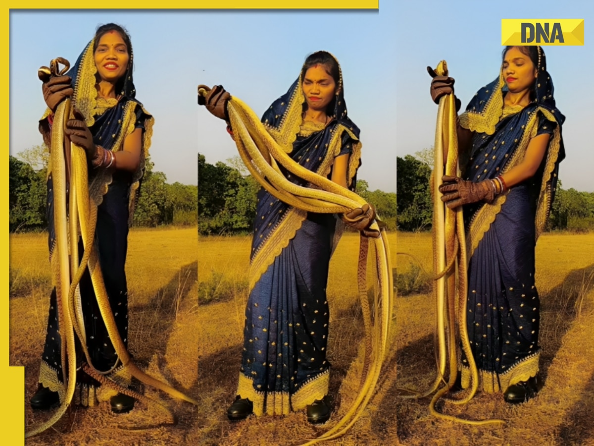 Daring woman in saree grabs dozens of snakes, viral video leaves internet shocked