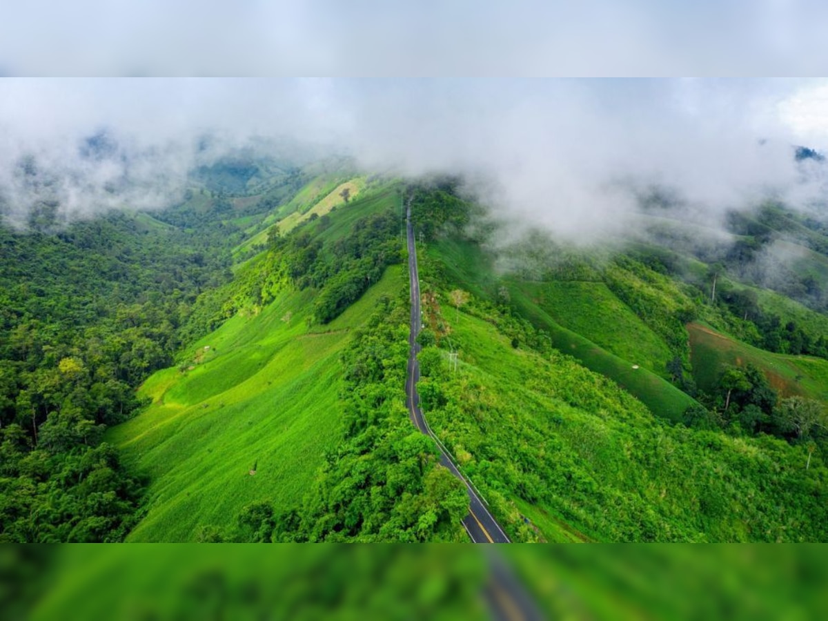 Western Ghats: A Journey into India's Biodiversity Hotspot