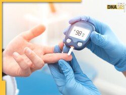 Diabetes Control Tips: आयुर्वेद में है डायबिटीज का बेस्ट इलाज, ये जड़ी-बूटियां शुगर को बढ़ने नहीं देंगी
