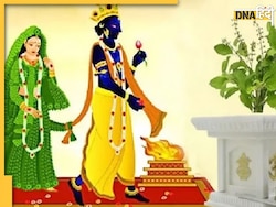 Tulsi Vivah 2023: आज है तुलसी विवाह, जानें तिथि से लेकर पूज��ा की विधि, शुभ मुहूर्त और सामग्री  