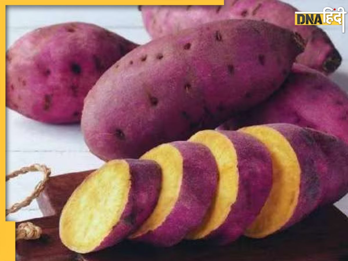 Sweet Potato Benefits डायबिटीज से बीपी तक, सर्दियों में शकरकंद खाने से