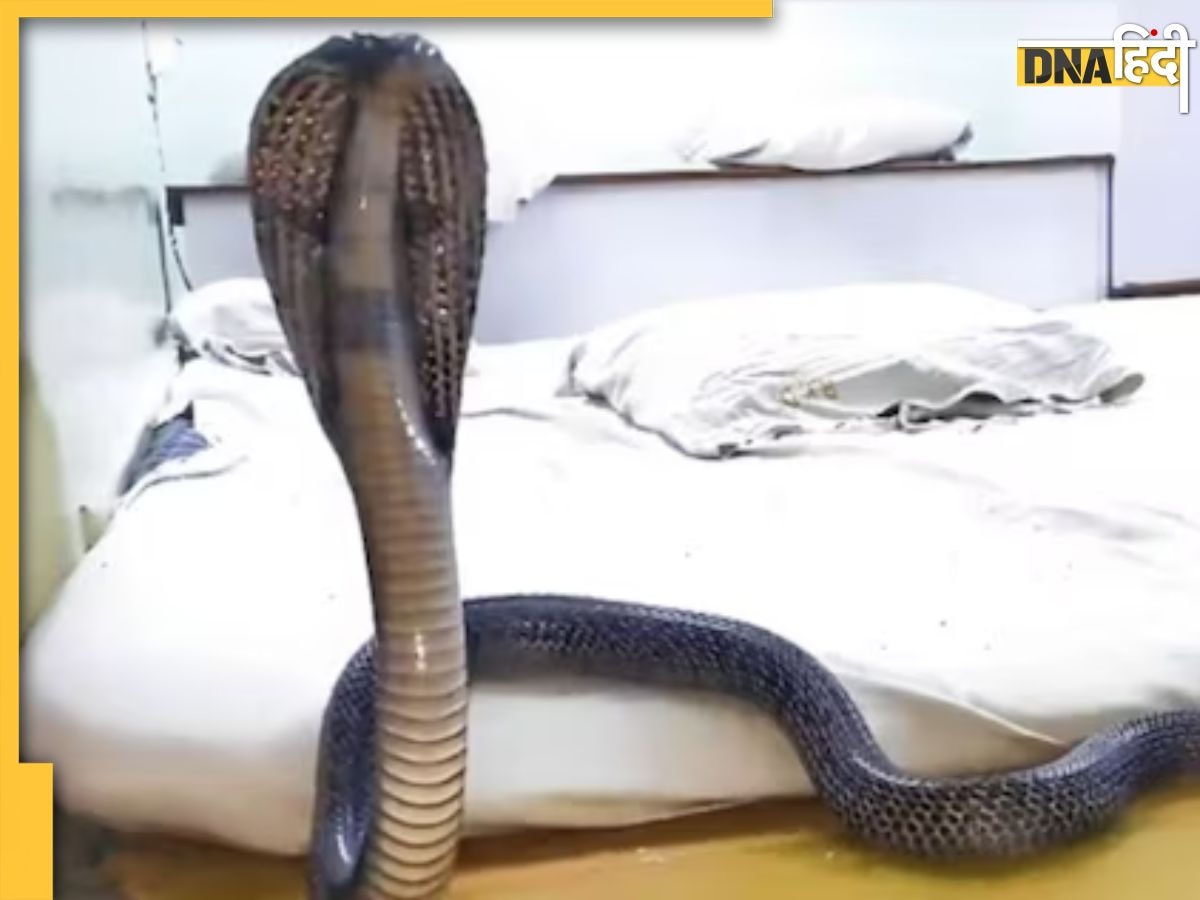 King Cobra खरीदा, फिर सोती हुई पत्नी और 2 साल की बेटी को डंसवाकर दी मौत, पढ़ें हत्या की खौफनाक कहानी