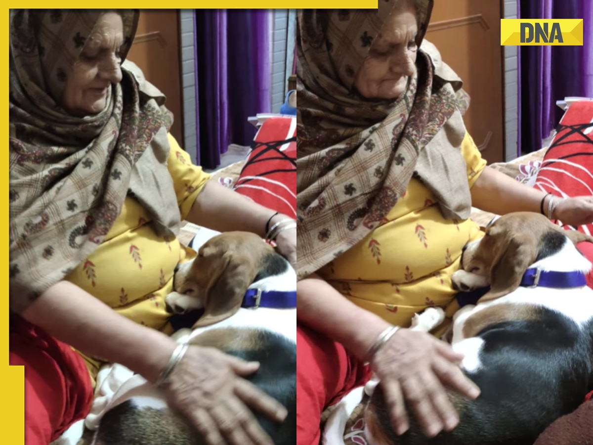 Viral video: Elderly woman comforts adorable dog after a little scolding, internet can't help but go aww