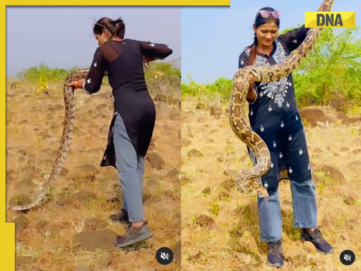 Video of girl fearlessly playing with giant snake shocks netizens