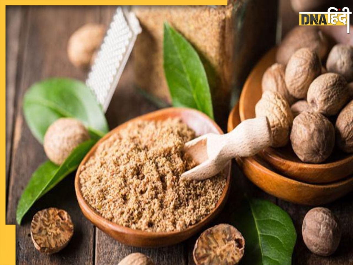 Nutmeg Benefits: सेहत का खजाना है जायफल, सर्दी-जुकाम समेत इन बीमारियों का करता है इलाज