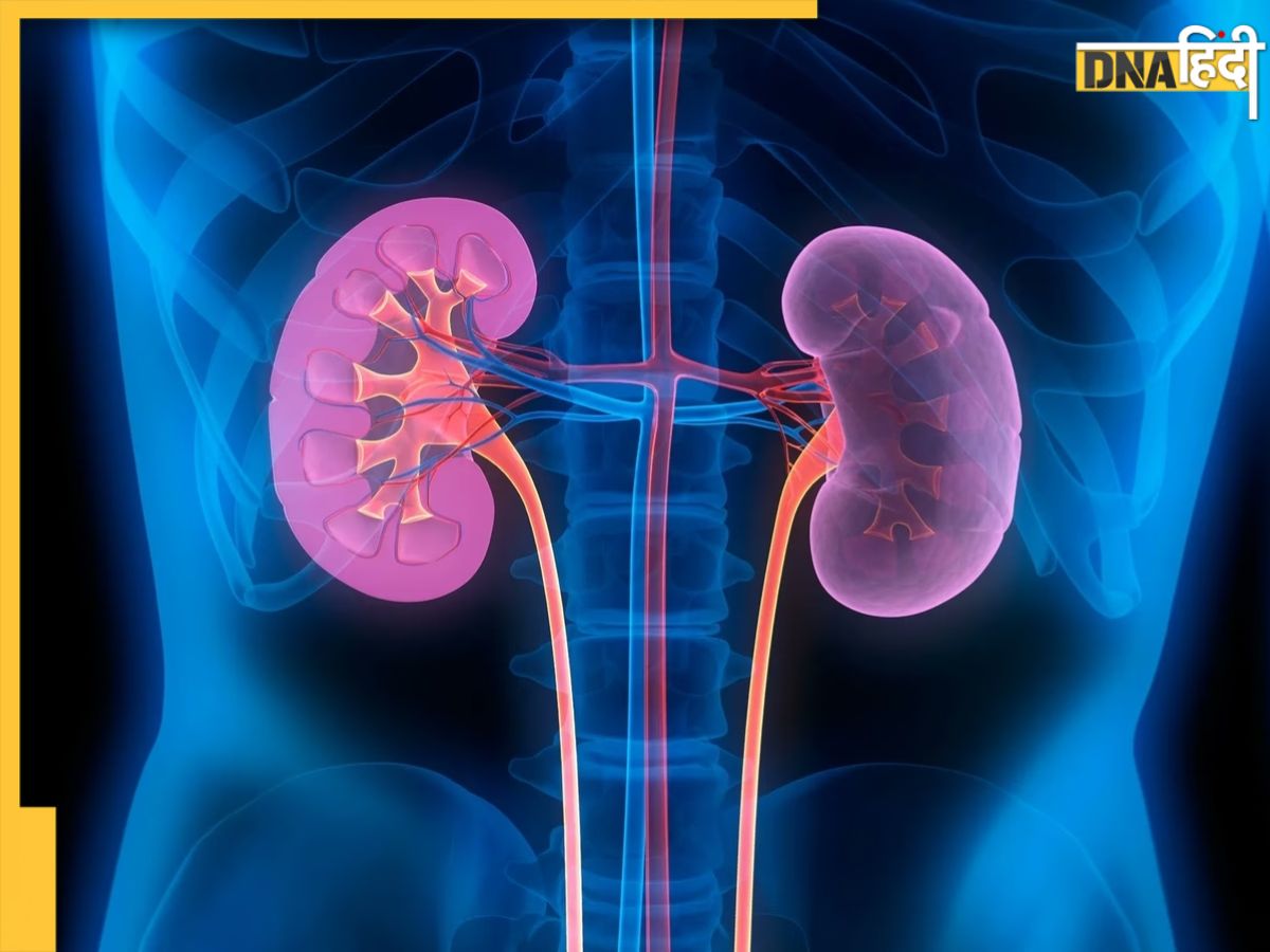 kidney-health-8