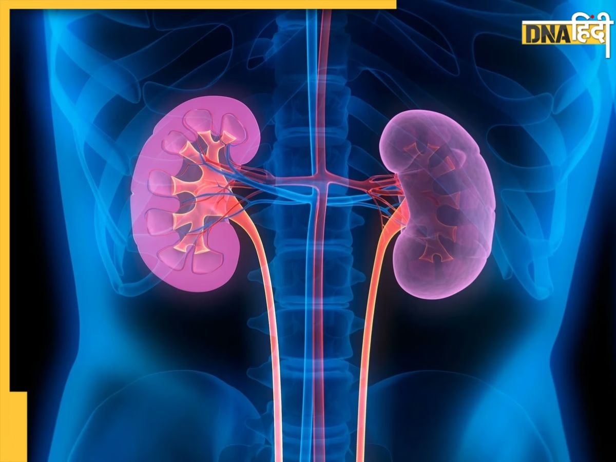 Kidney Health: किडनी को डैमेज करते हैं ये 8 फूड्स, बना लें इनसे दूरी वरना खराब हो जाएगा बॉडी ब्लड फिल्टर