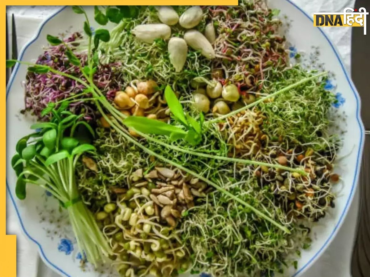 Sprouts For Cholesterol: सुबह उठते ही खा लें ये 5 फूड्स, नसों में जमी गंदगी हो जाएगी बाहर, दिल और नसें भी रहेंगी हेल्दी