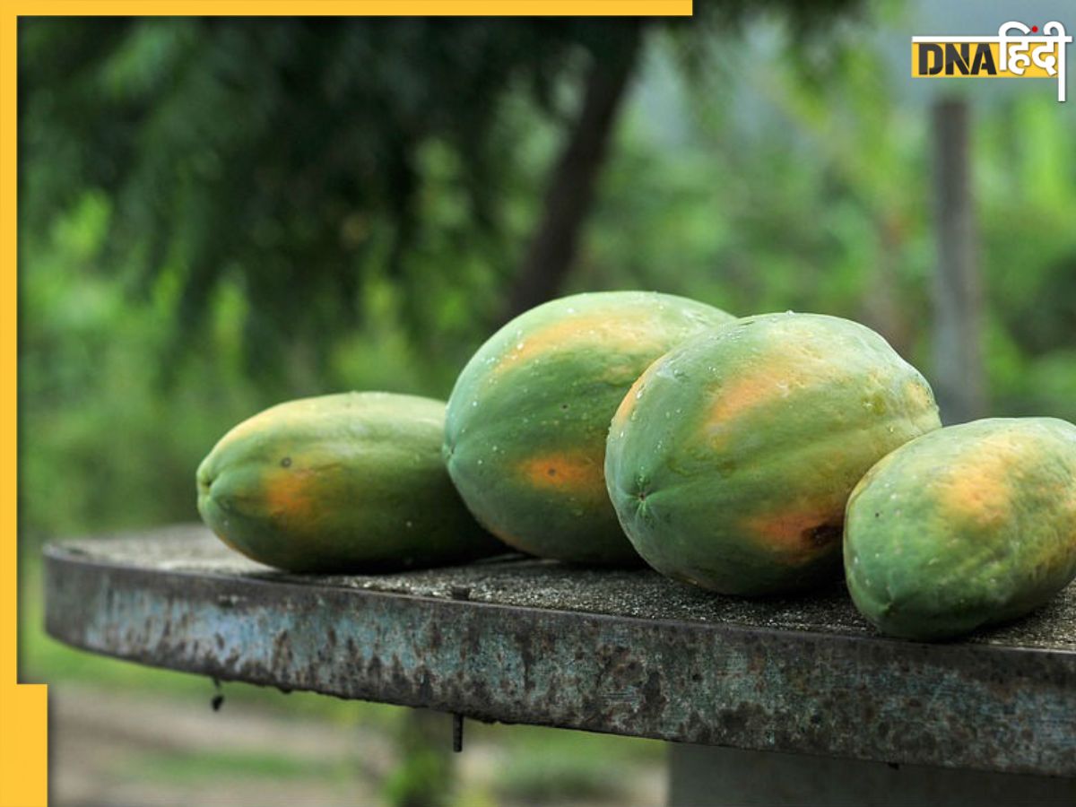 Raw Papaya Benefits सेहत के लिए गुणकारी होता है कच्चा हरा पपीता, इससे