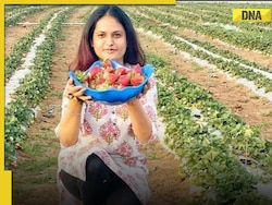 Meet Gurleen Chawla, law graduate who grows strawberry on barren land, now earns...