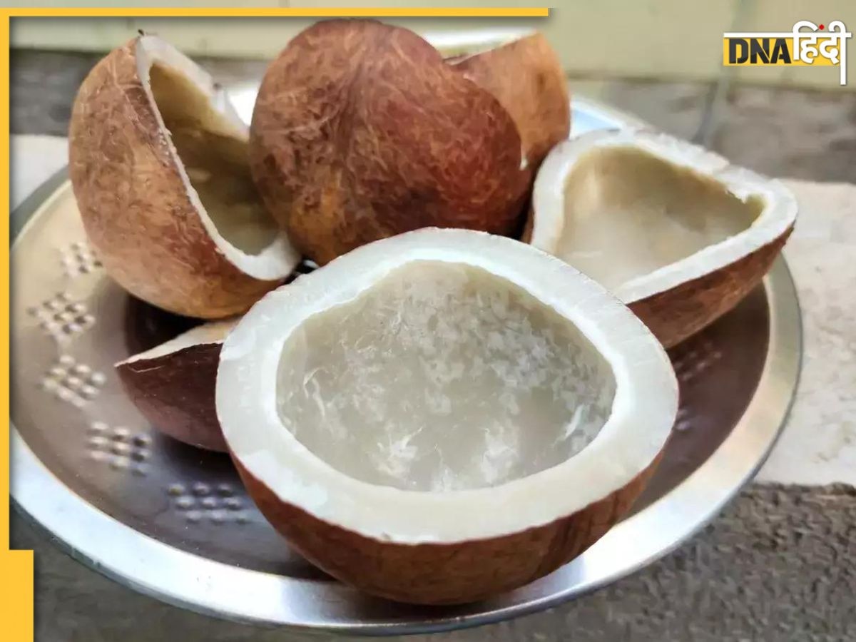 Dry Coconut: सूखे नारियल खाने के फायदे और नुकसान जान लें, डायबिटीज से लेकर कोलेस्ट्रॉल में खाएं या नहीं