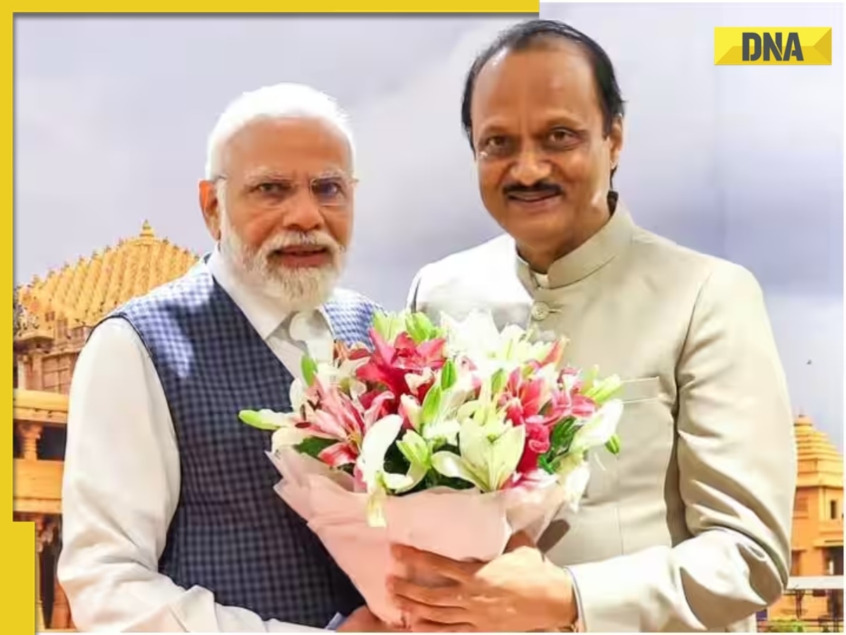 'Benefits of central schemes should...': Maharashtra Dy CM Ajit Pawar heaps praises on PM Modi 