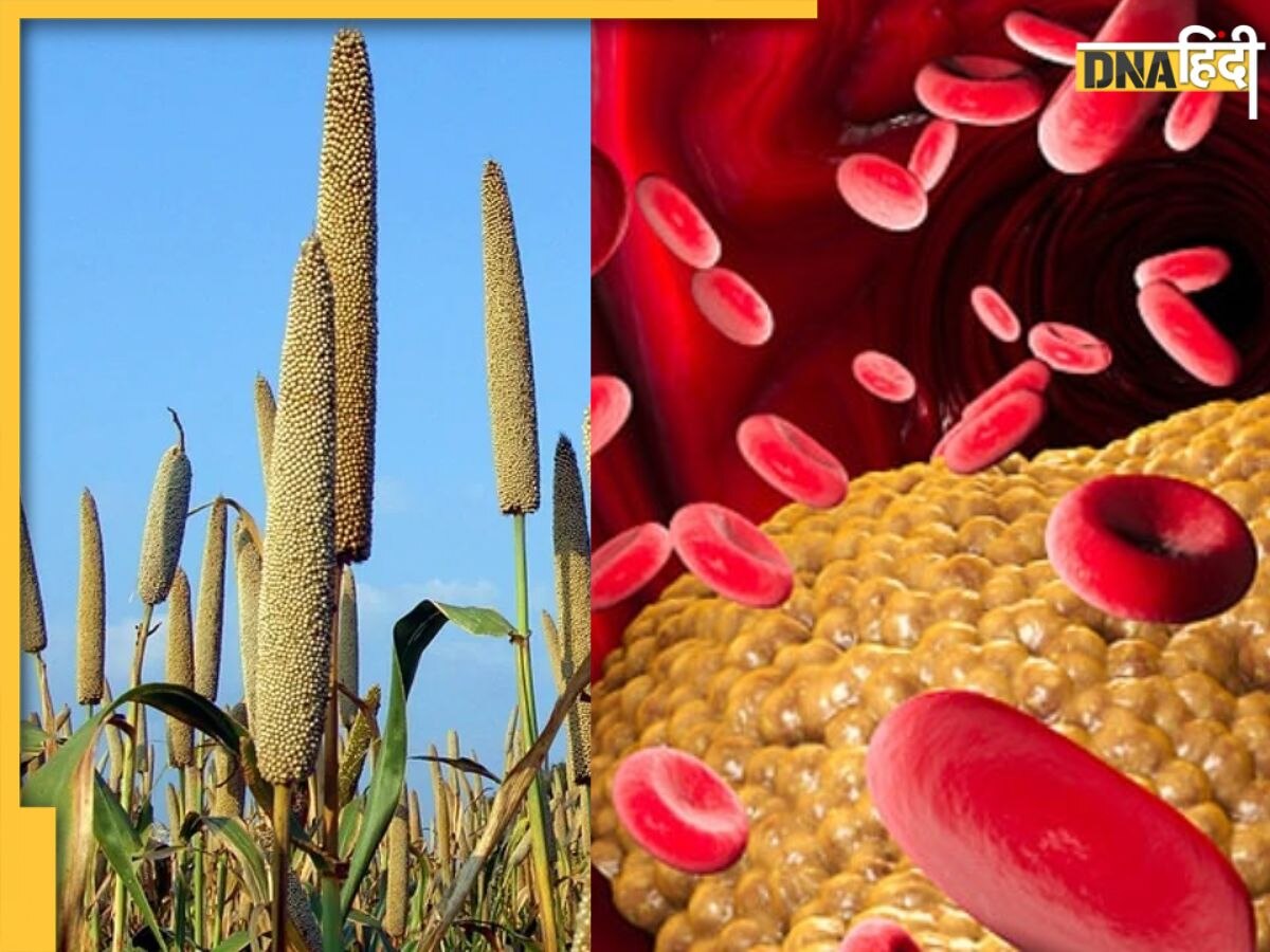 Millet For Reduce Cholesterol: शरीर से गंदा कोलेस्ट्रॉल बाहर निकाल फेंकेगा बाजरा, इन 5 तरीकों से बनाएं डाइट का हिस्सा