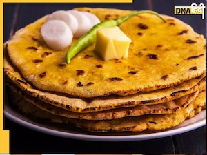 Best Aata: गेहूं की जगह इस आटे की रोटी खाना कर दें शुरू, तेजी से घटेगा वजन, बीपी और कोलेस्ट्रॉल 