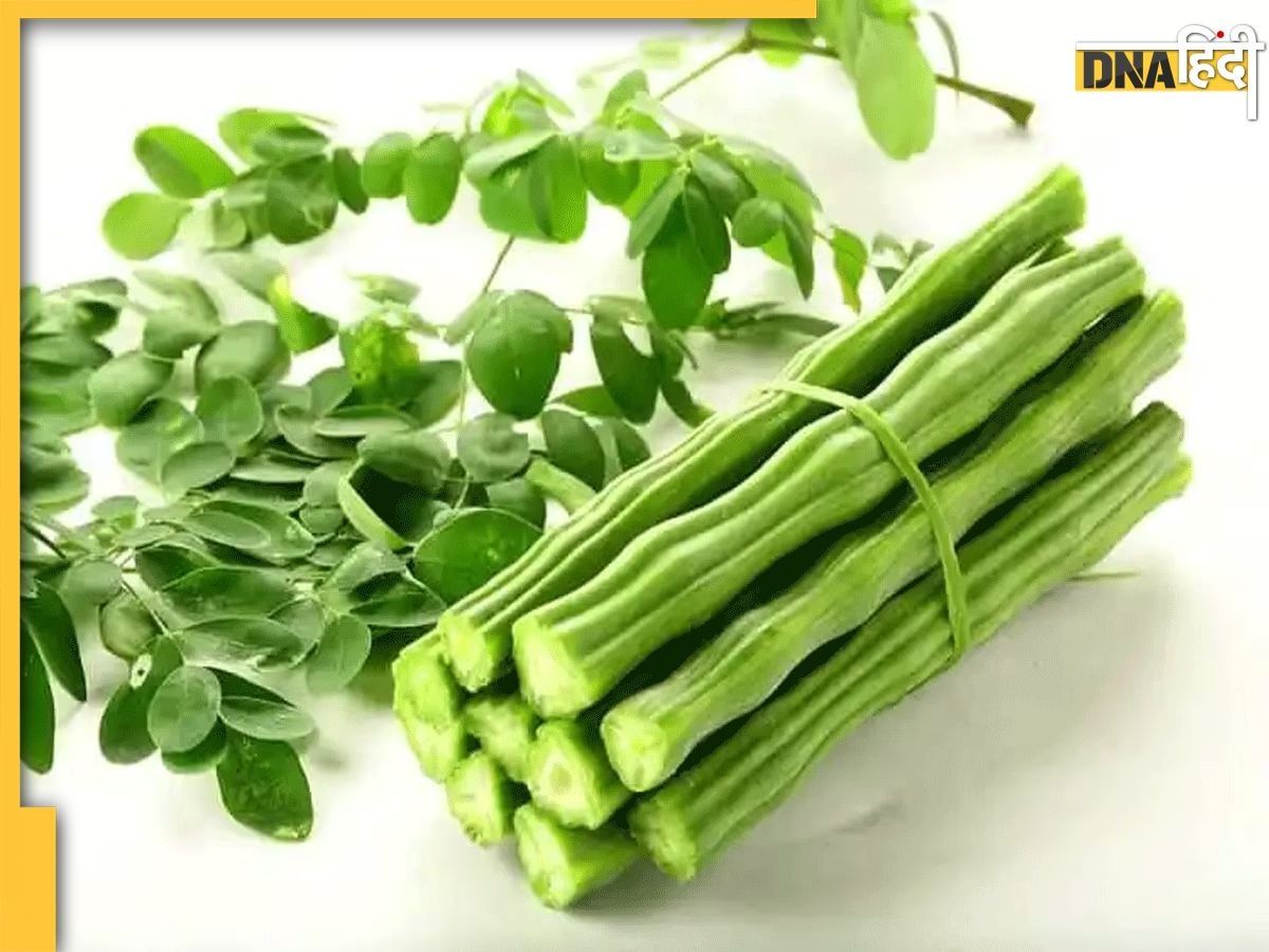 Moringa Leaves Benefits: डायबिटीज से लेकर मोटापे तक को काबू में रखती हैं ये हरी पत्तियां, खाने पर मिलते हैं ये 5 फायदे