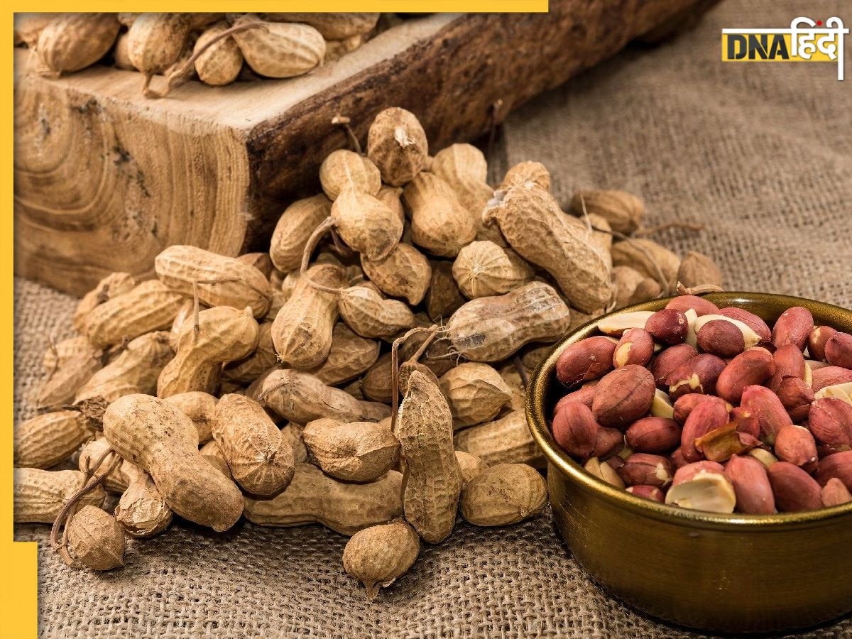 Peanut Side Effects: स्वाद और सेहत के लिए फायदेमंद मूंगफली इन 5 लोगों को पहुंचा सकती है नुकसान, भूलकर भी न खाएं