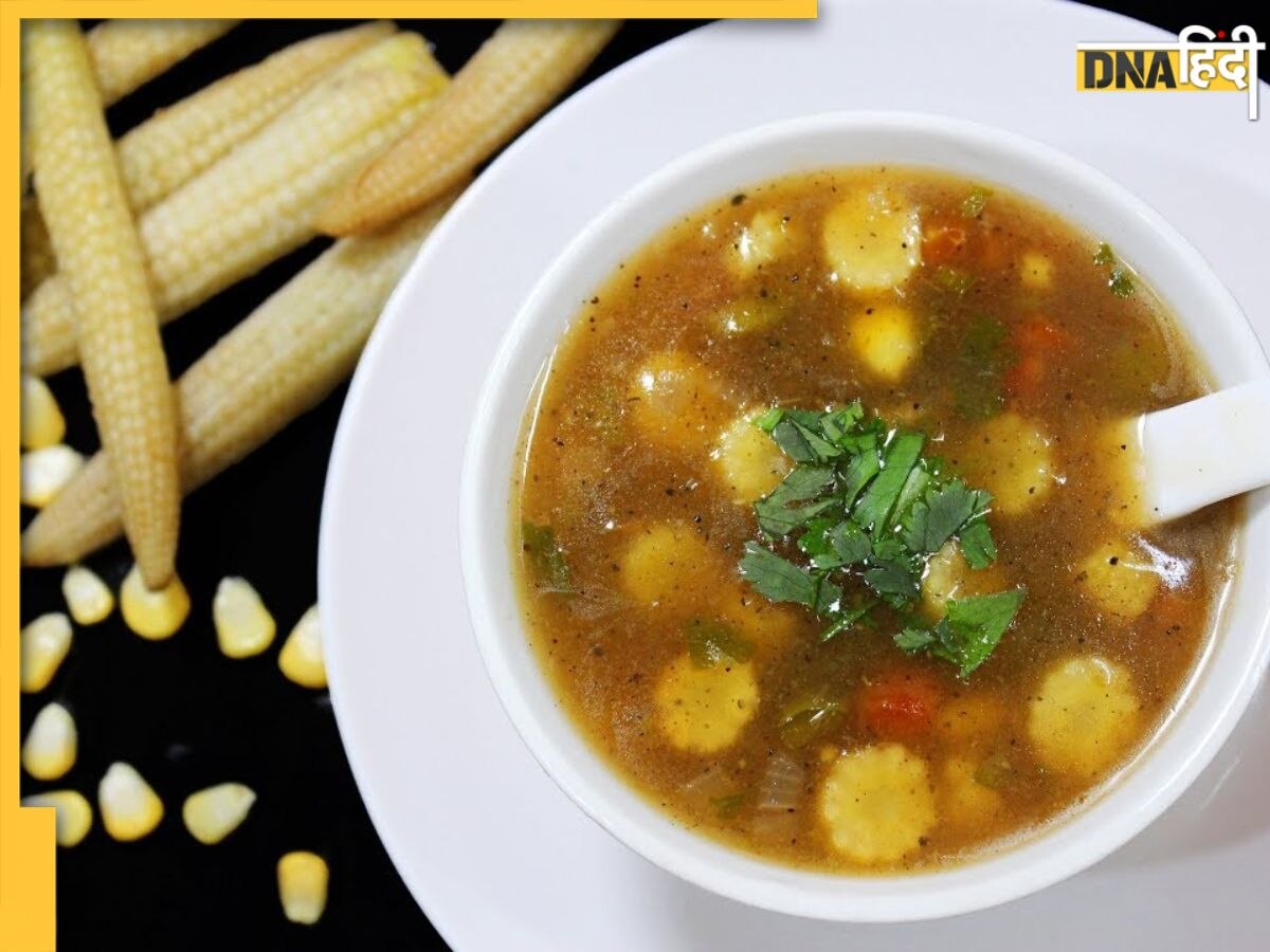 Veg Soups For Winter: सर्दियों में हेल्दी और गर्म रहेगा शरीर, इन 4 वेज सूप को को करें ट्राई