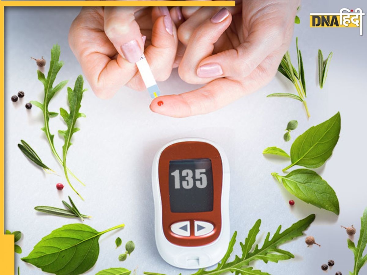 Diabetes Ayurvedic Remedy: ब्लड में इंसुलिन की कमी पूरी कर देती हैं ये पत्तियां, डायबिटीज में नहीं होगा शुगर हाई