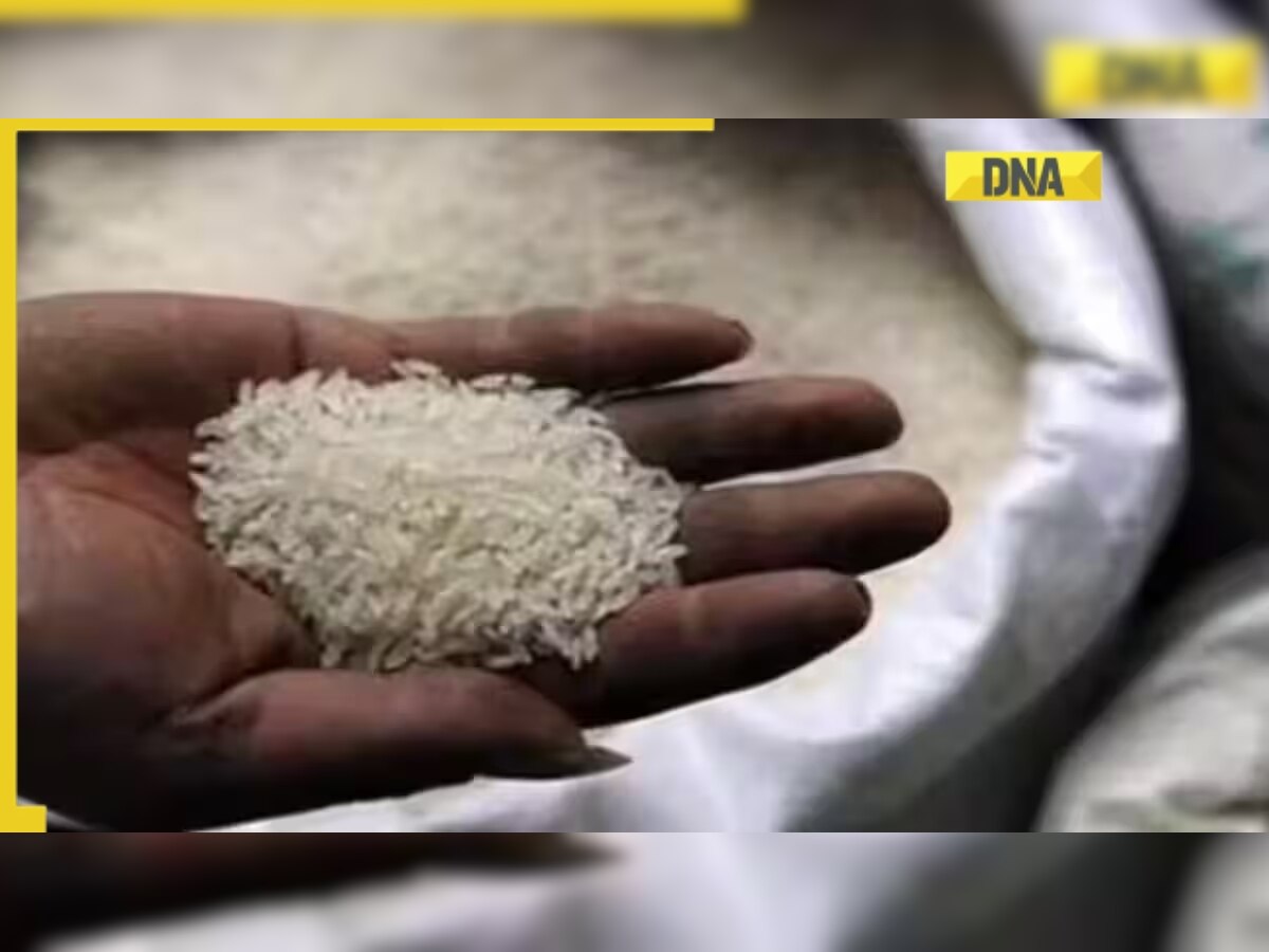 India allows export of non-basmati rice to another 5 countries