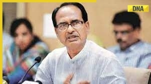 Madhya Pradesh Assembly Elections: 'Congress lost due to ego after Karnataka victory, not because of EVMs': CM Chouhan