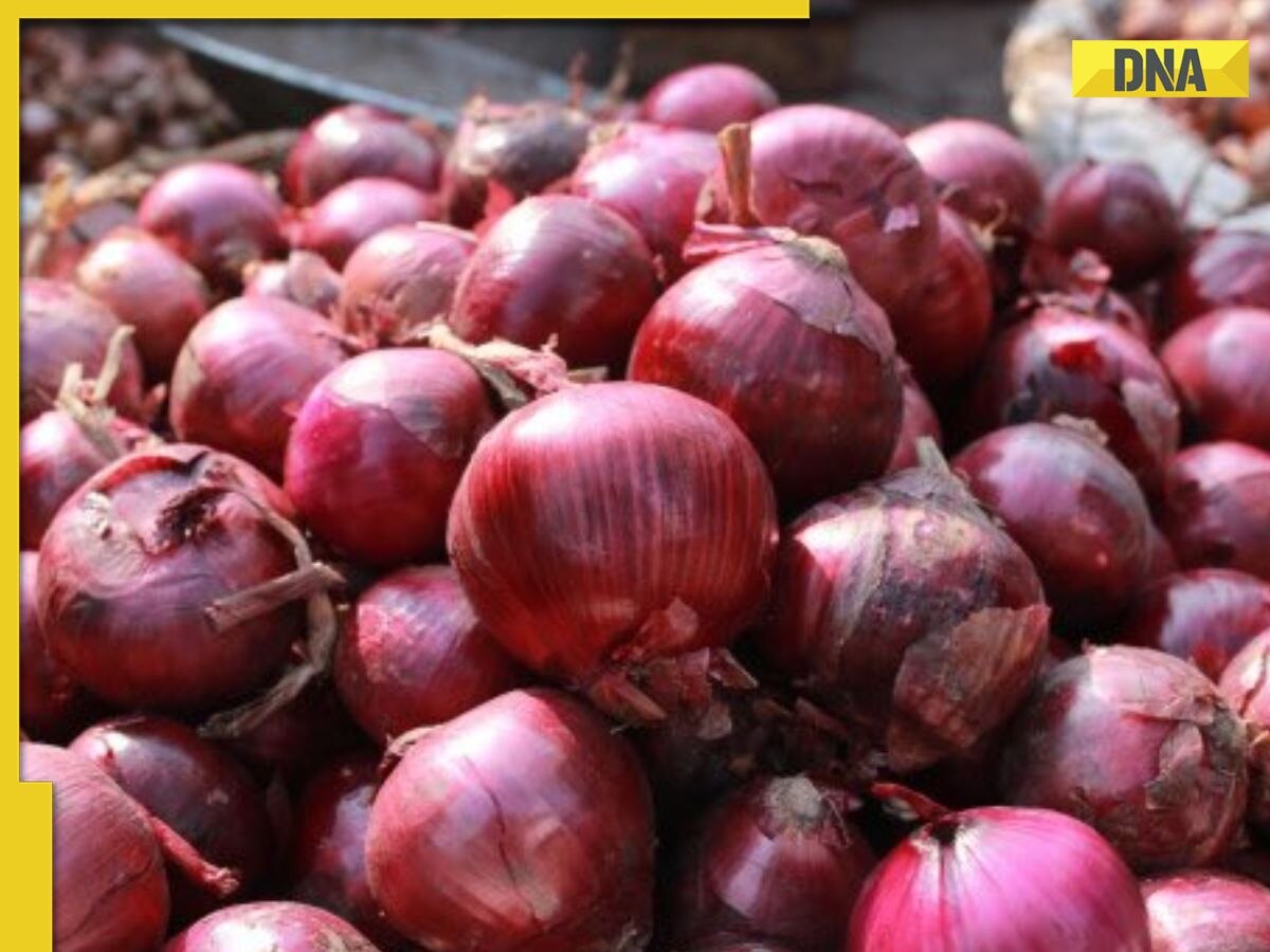 Centre bans onion exports till March 2024