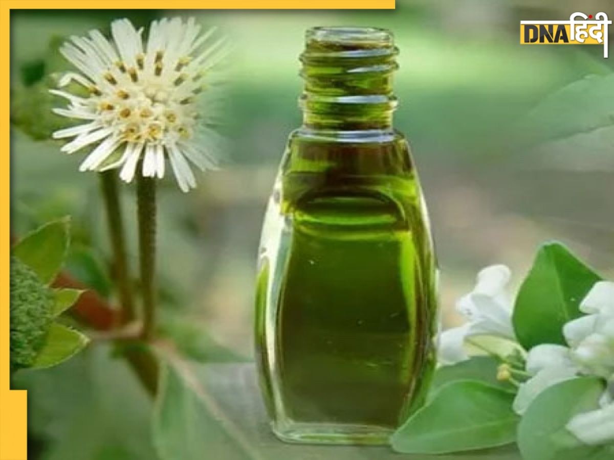 Oil For Headache: इस तेल से दूर होगी सिर दर्द और ड्राई स्किन की समस्या, मिलेंगे कई और भी फायदे