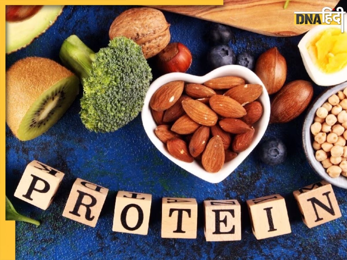 Protein Rich Foods: रोज खाना शुरू कर दें ये 5 चीजें, जीवनभर नहीं होगी प्रोटीन की कमी