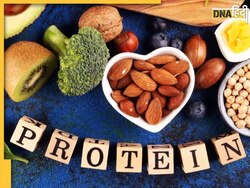 Protein Rich Foods: रोज खाना शुरू कर दें ये 5 चीजें, जीवनभर नहीं होगी प्रोटीन की कमी